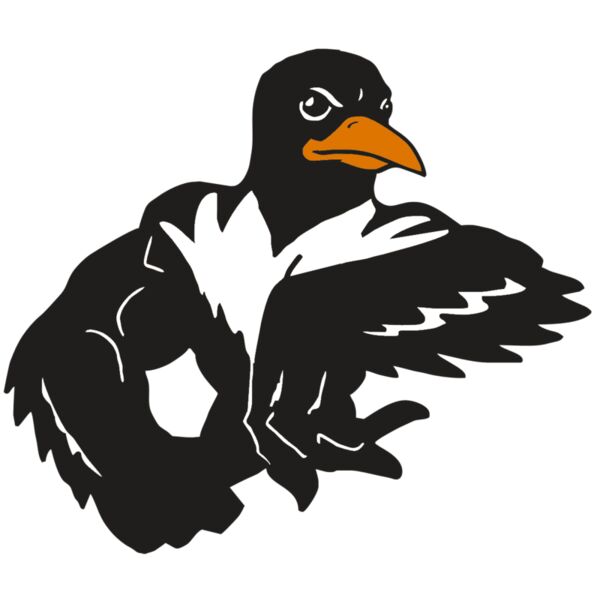 AR ORIOLE 22 RC Thumbnail