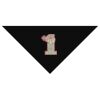 SOL'S Bandana Thumbnail
